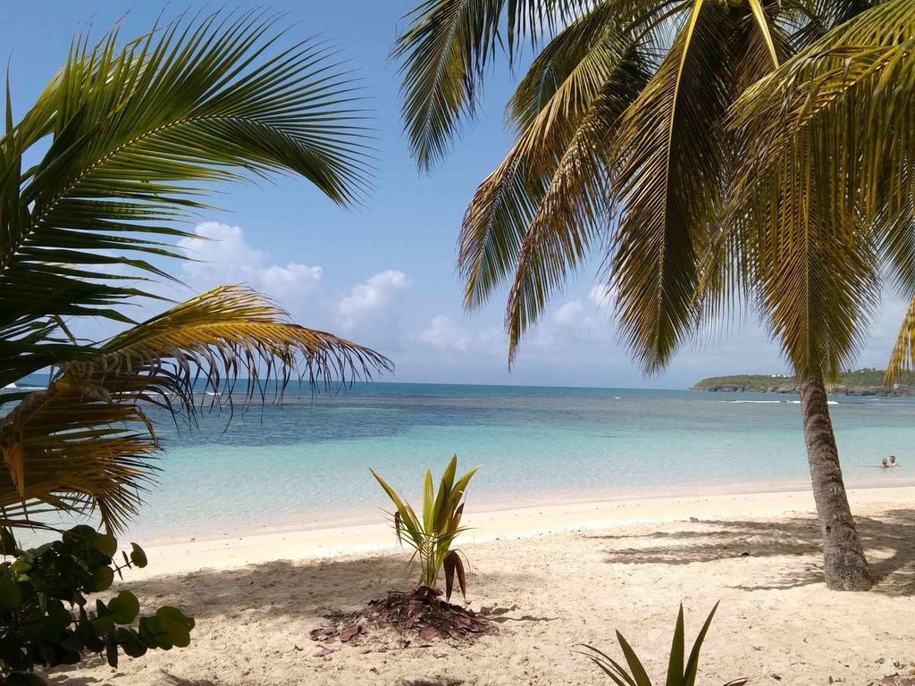 Appartements: Plage & Commerces A 200M Sainte-Anne  Buitenkant foto